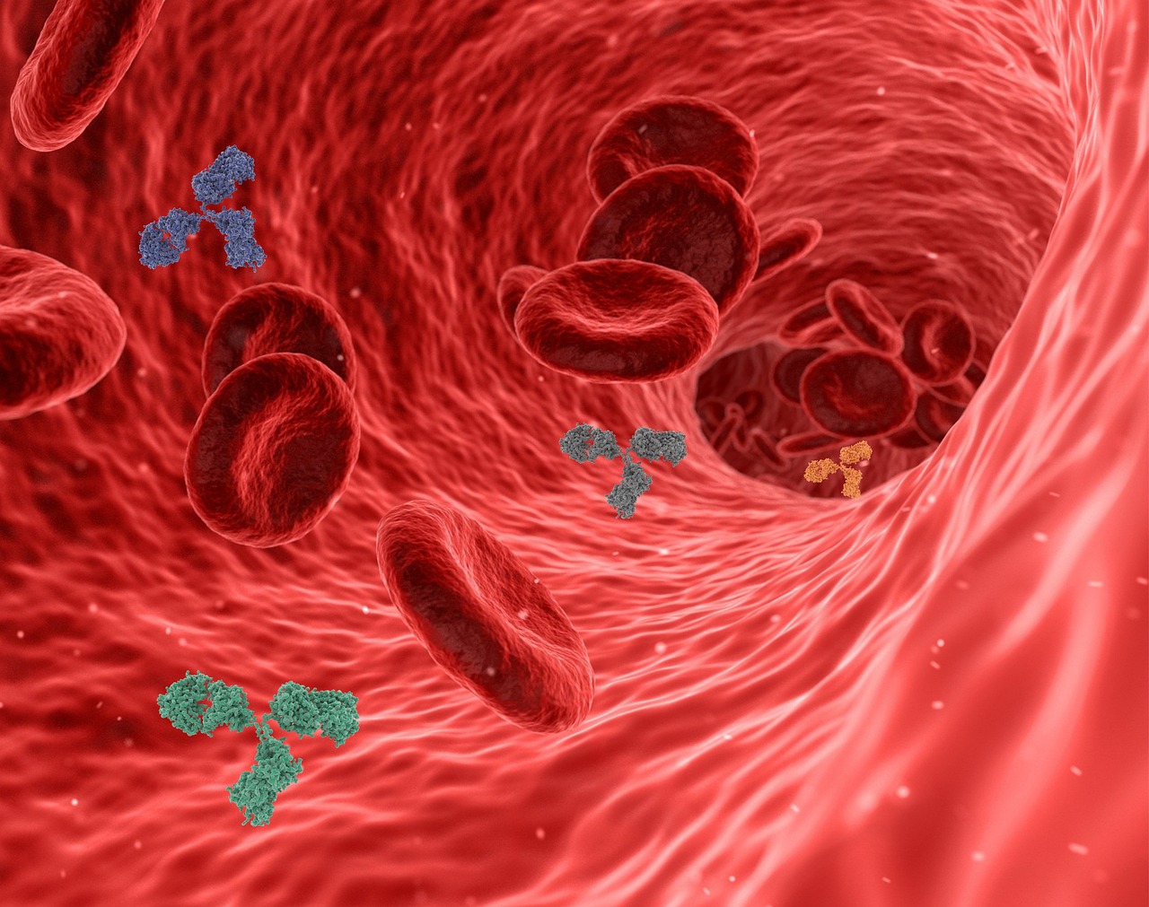 erfahren sie alles über das immunsystem: wie es funktioniert, welche rolle es bei der abwehr von krankheiten spielt und wie sie ihre abwehrkräfte auf natürliche weise stärken können.