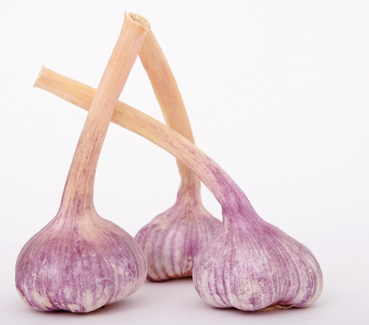 Wie kann man gesund kochen ohne viel Zeit zu investieren?